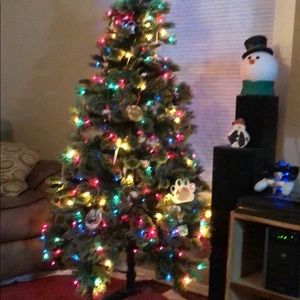 Meet your Posher, Janna